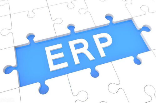 什么規模的企業才選擇定制erp系統,影響定制erp的因素